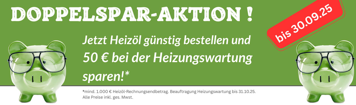 Heizungswartung 50 € sparen